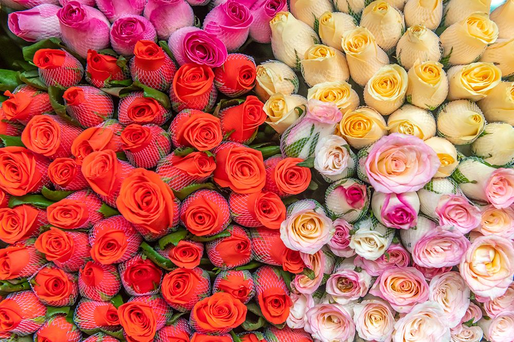Red, Yellow, and Pink Roses at Flower Market art print by Richard Silver for $57.95 CAD