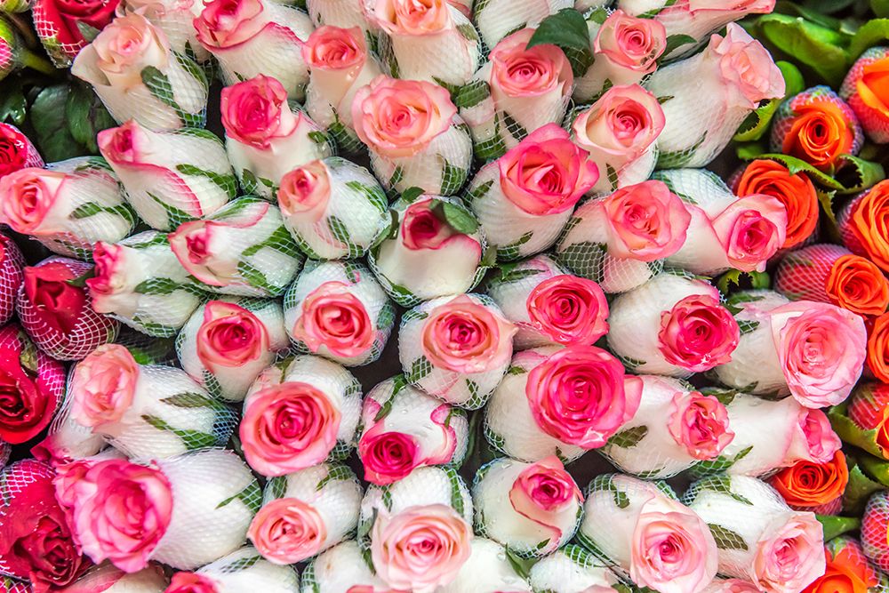 Pink and Coral Rose Bouquets at Flower Market art print by Richard Silver for $57.95 CAD