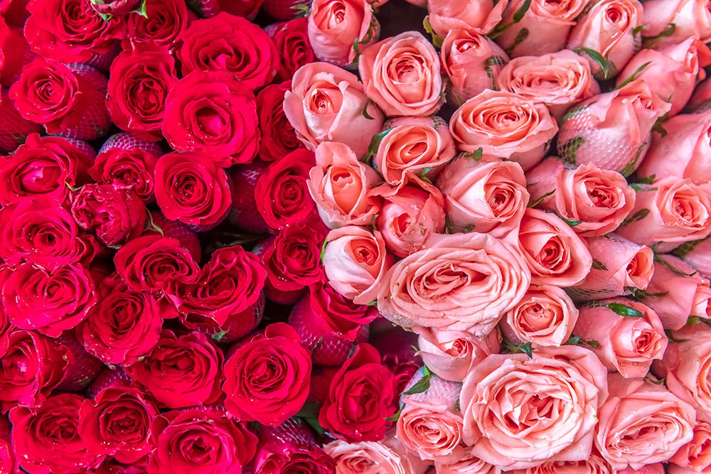 Red and Pink Rose Bouquets at Flower Market art print by Richard Silver for $57.95 CAD