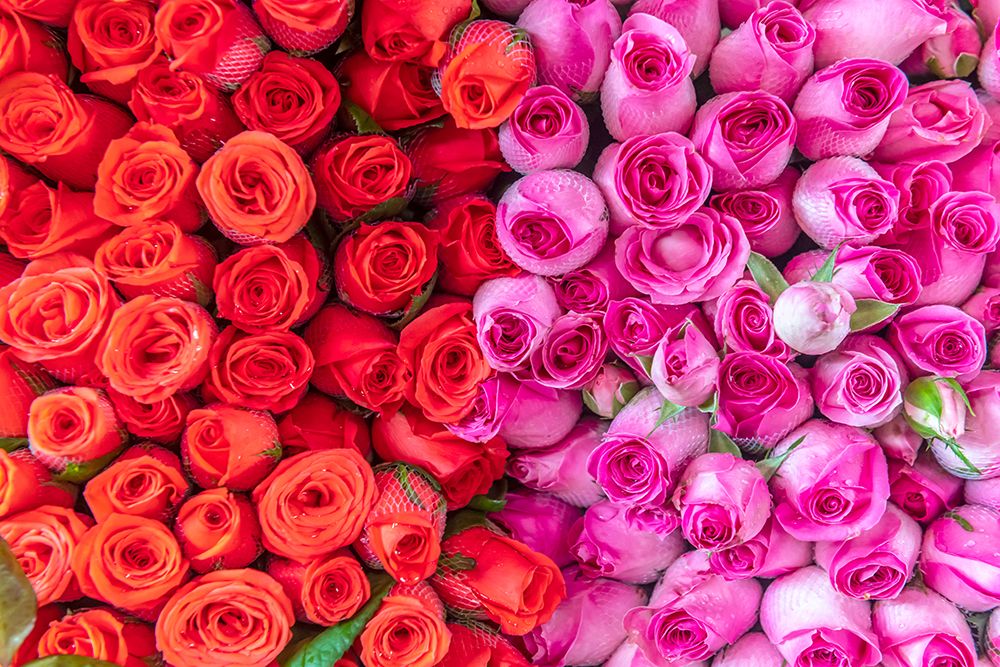 Red and Pink Rose Bouquets Close-Up art print by Richard Silver for $57.95 CAD