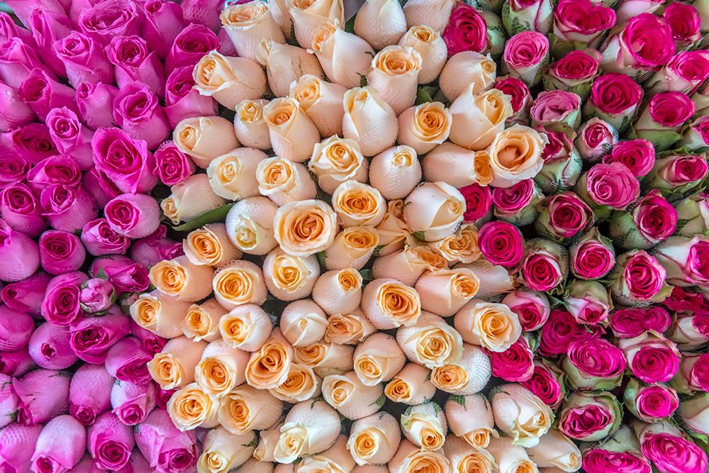 Pink, Peach, and Magenta Roses at Flower Market art print by Richard Silver for $57.95 CAD