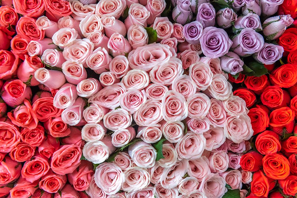 Pink, Lavender, and Red Rose Bouquets at Flower Market art print by Richard Silver for $57.95 CAD