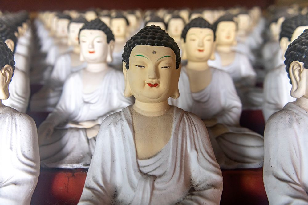 White Buddha Statues in Rows at Temple, Jeju Island, South Korea art print by Richard Silver for $57.95 CAD