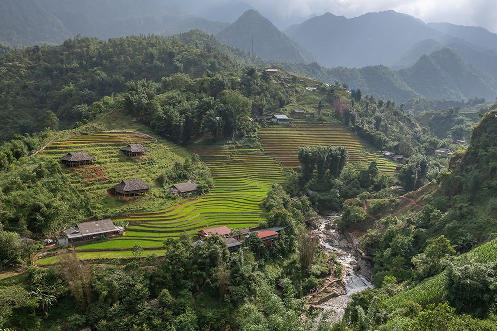 Rice Terrace Valley with Farmhouses, Sapa, Vietnam art print by Richard Silver for $57.95 CAD