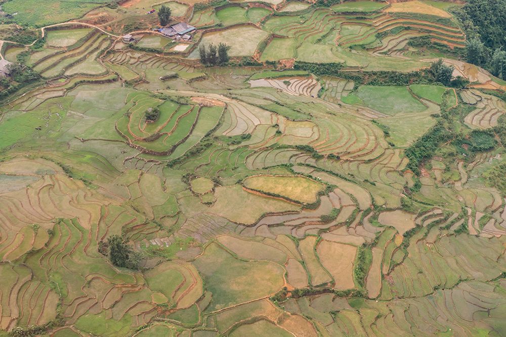 Aerial View of Golden Rice Terraces, Sapa, Vietnam art print by Richard Silver for $57.95 CAD