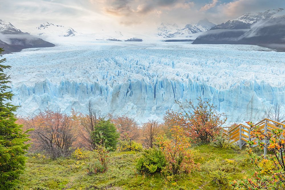 Perito Moreno Glacier with Autumn Foliage, Patagonia, Argentina art print by Richard Silver for $57.95 CAD
