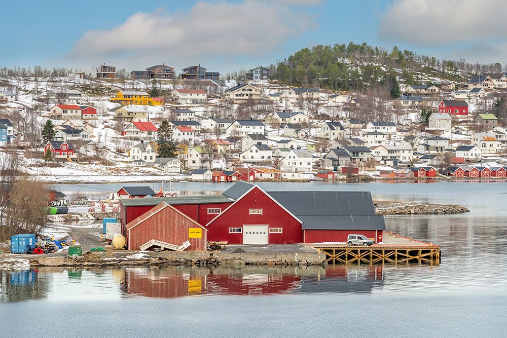Norwegian Fjord Town with Red Boathouses, Norway art print by Richard Silver for $57.95 CAD