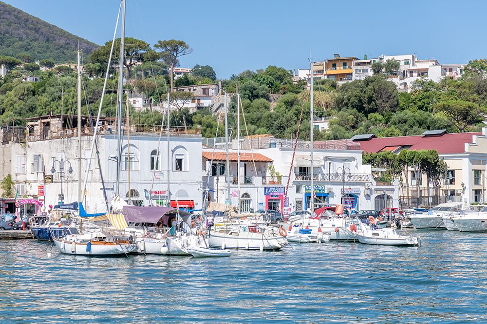 Marina with Sailboats and Hillside Village, Ischia, Italy art print by Richard Silver for $57.95 CAD