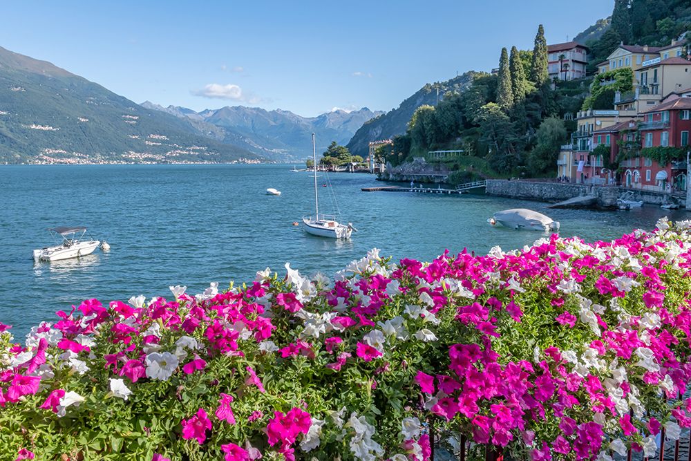 Pink Flowers Framing Lake Como, Italy art print by Richard Silver for $57.95 CAD