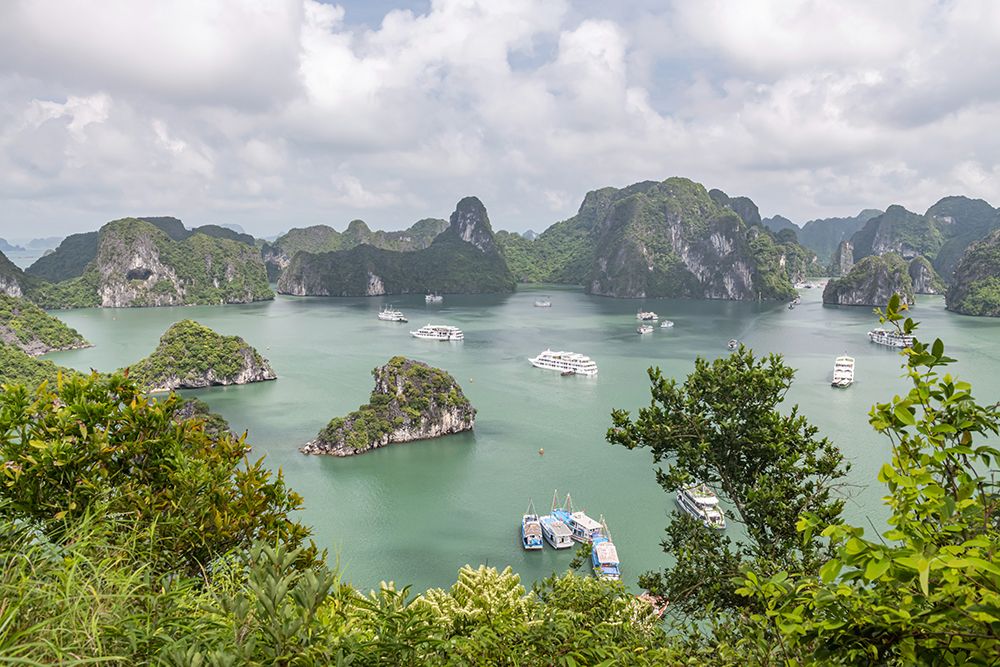 Ha Long Bay Limestone Islands, Vietnam art print by Richard Silver for $57.95 CAD