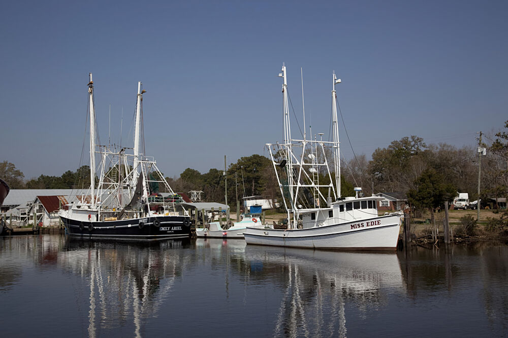 Bayou la Batre, Alabama III art print by Carol Highsmith for $57.95 CAD