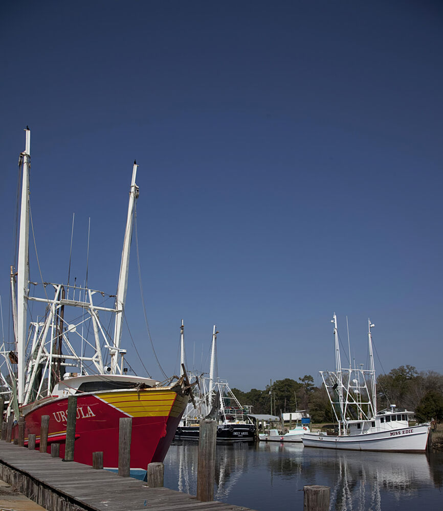 Bayou la Batre, Alabama IV art print by Carol Highsmith for $57.95 CAD