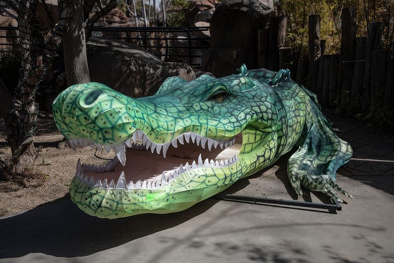 Realistic-Looking Alligator Sculpture at the Reid Park Zoo in Tucson, Arizona art print by Carol Highsmith for $57.95 CAD
