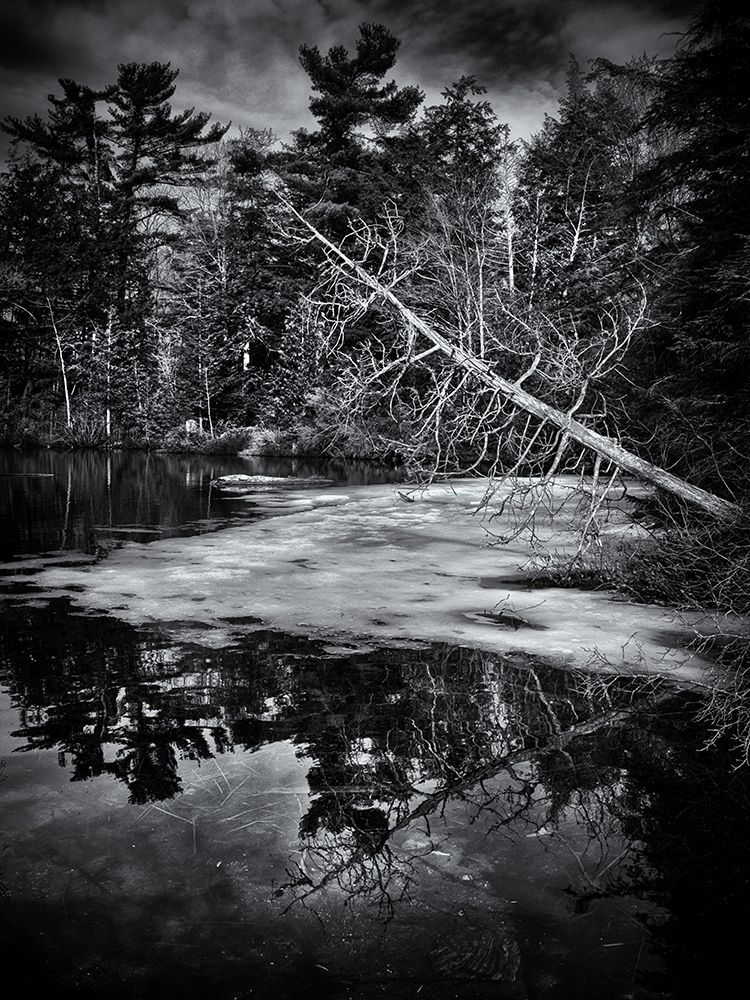 Gullwing Lake No 2 art print by Brian Carson for $57.95 CAD