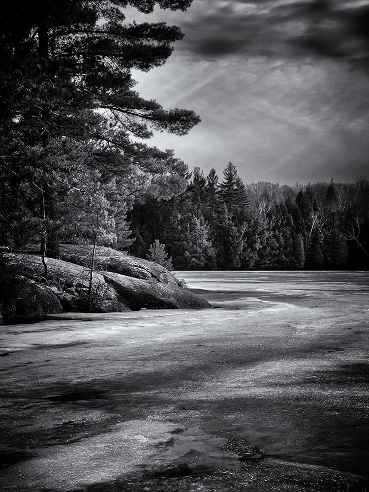 Gullwing Lake No 4 art print by Brian Carson for $57.95 CAD