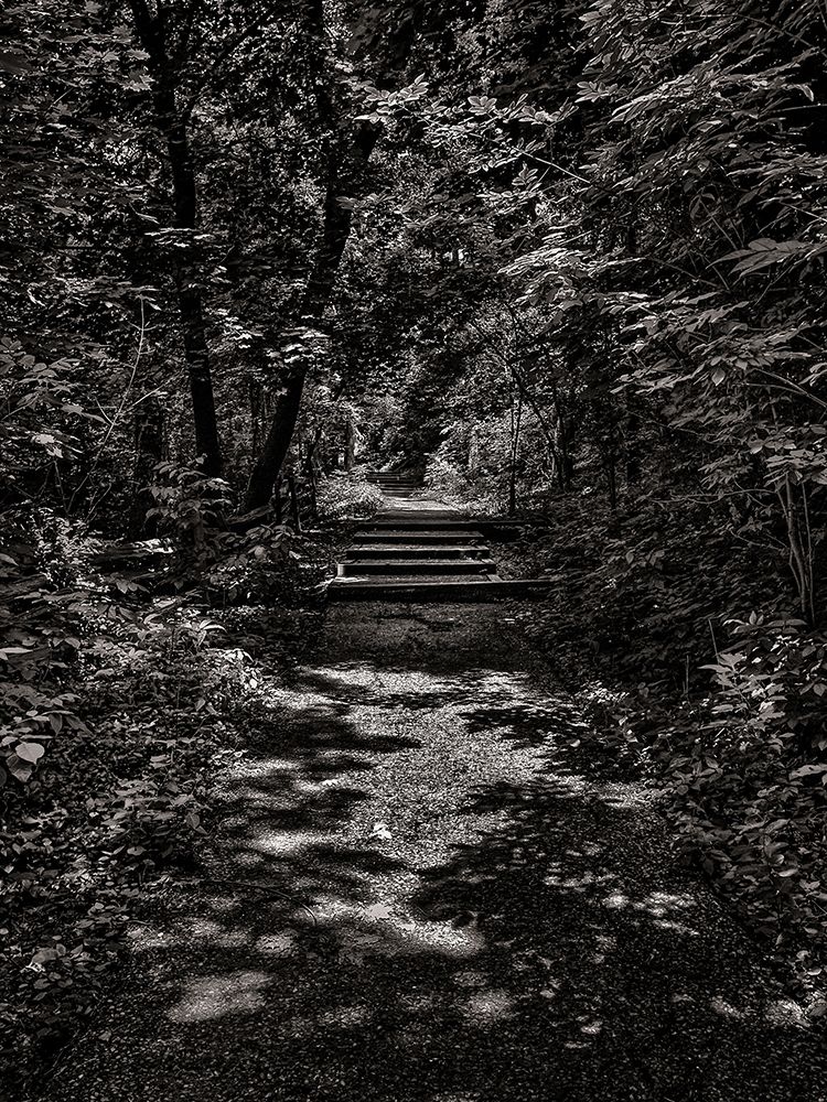Walk in the Park art print by Brian Carson for $57.95 CAD