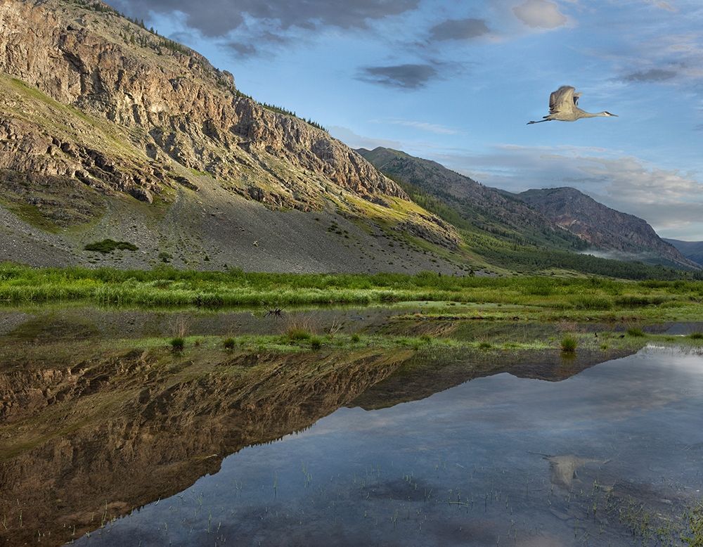 Dome Mountain and Animas River near Silverton-Colorado art print by Tim Fitzharris for $57.95 CAD