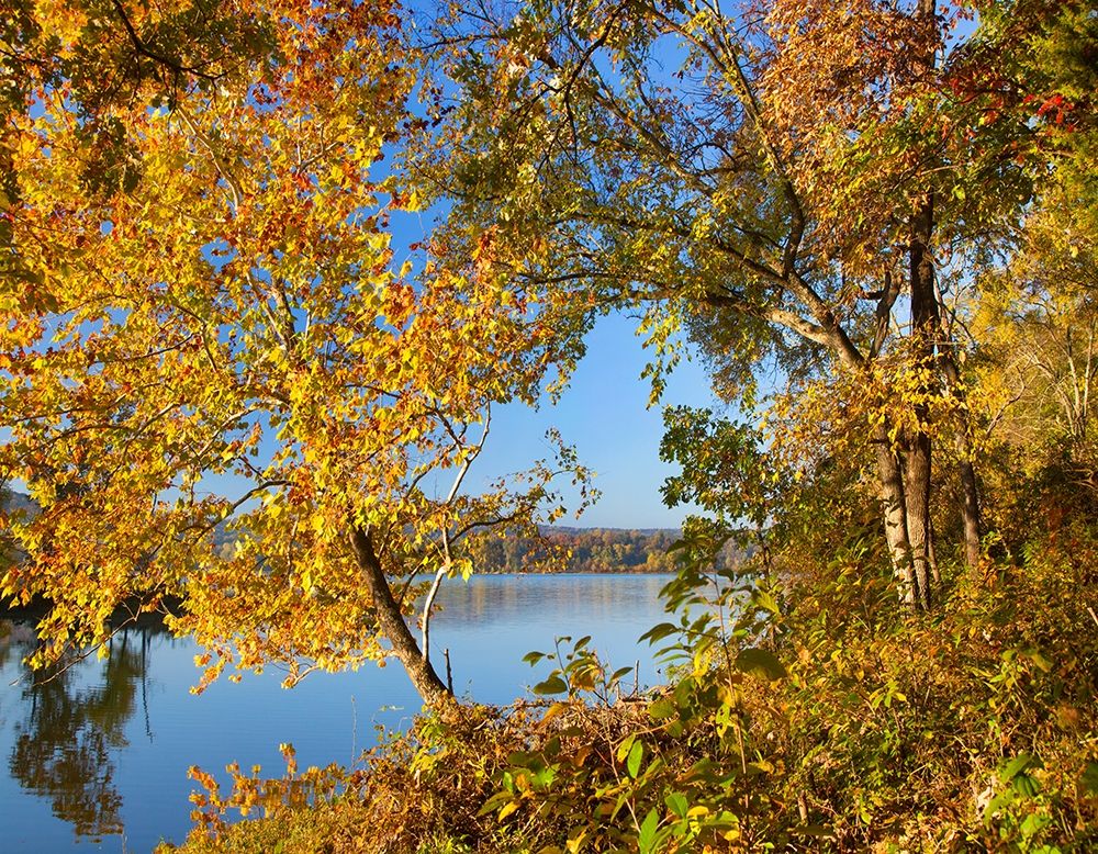 Lake Sequoyah Autumn-Arkansas art print by Tim Fitzharris for $57.95 CAD
