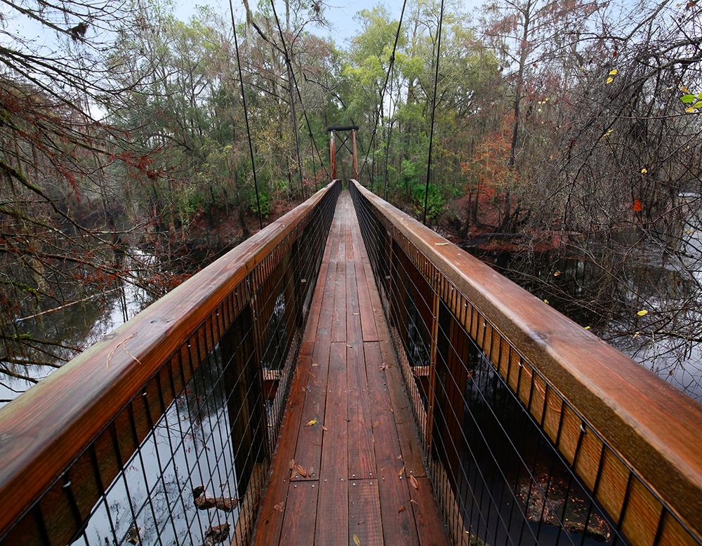 Santa Fe River-OLeno State Park-Florida art print by Tim Fitzharris for $57.95 CAD
