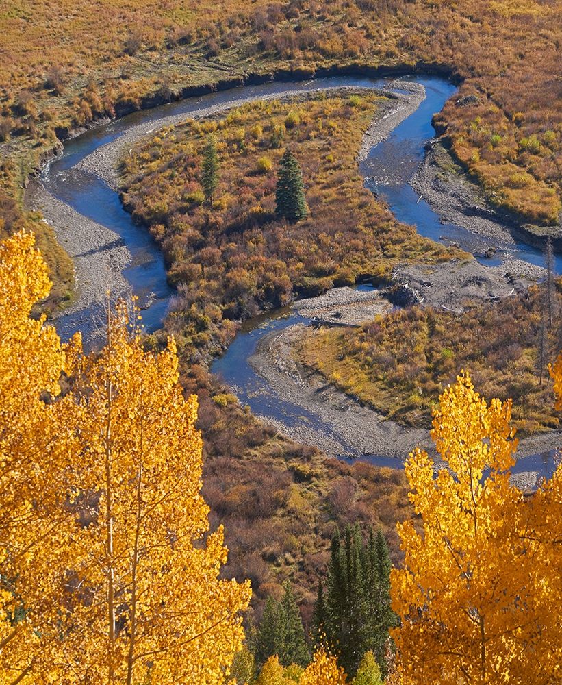 East River near Gothic-Colorado art print by Tim Fitzharris for $57.95 CAD