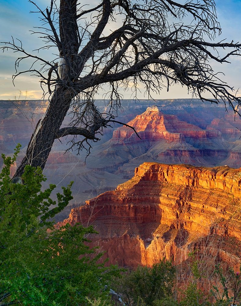 Sagittarius Ridge from Pima Point-Grand Canyon National Park-Arizona art print by Tim Fitzharris for $57.95 CAD
