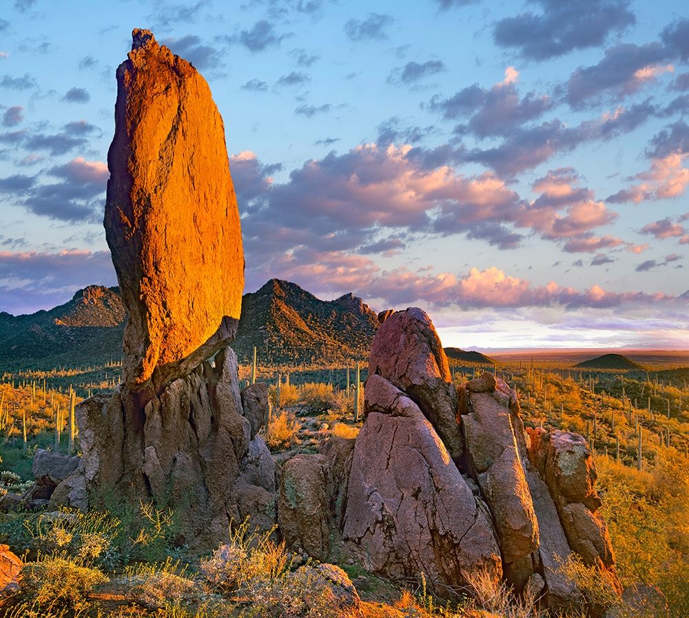 Tucson Mountains-Saguaro National Park-Arizona art print by Tim Fitzharris for $57.95 CAD