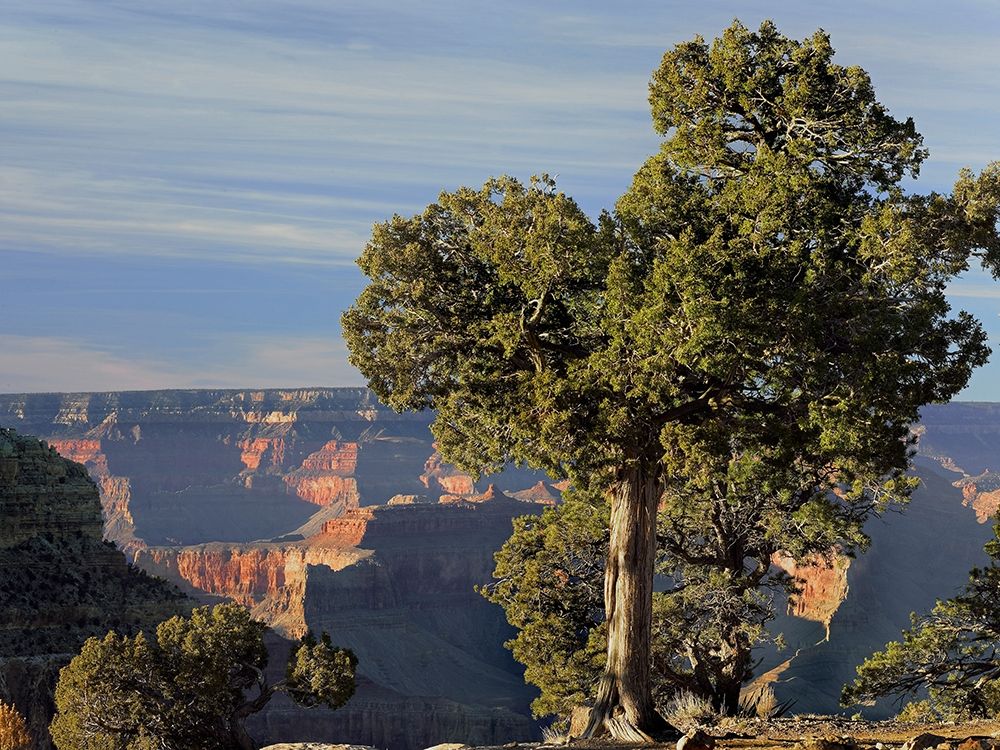 Hermits Rest-South Rim of Grand Canyon National Park-Arizona art print by Tim Fitzharris for $57.95 CAD