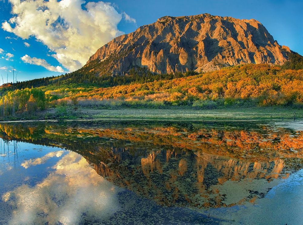 Marcellina Mountain-Colorado art print by Tim Fitzharris for $57.95 CAD