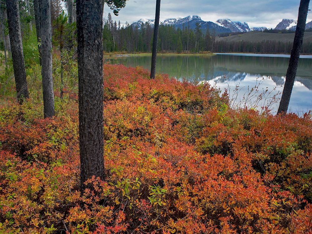 Sawtooth National Recreation Area-Idaho art print by Tim Fitzharris for $57.95 CAD