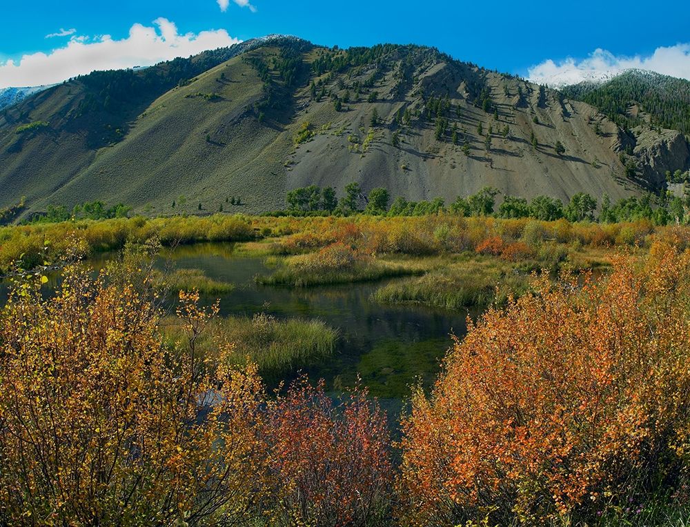 Boulder Mountains and Trail Creek beaver pond in autumn-Idaho art print by Tim Fitzharris for $57.95 CAD