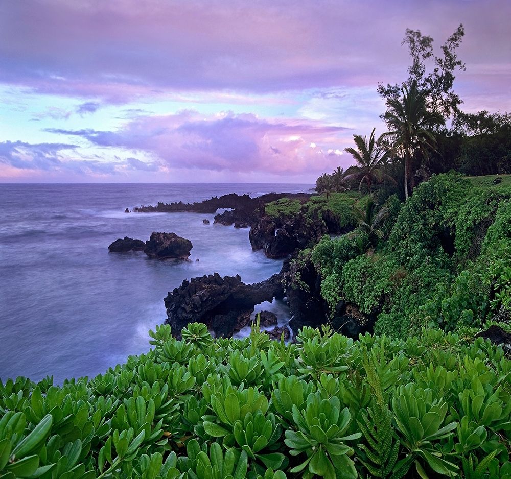 Hana Coast Maui art print by Tim Fitzharris for $57.95 CAD