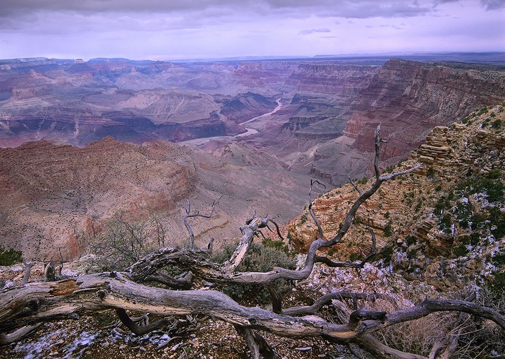 Colorado River from Desert View-Grand Canyon National Park-Arizona art print by Tim Fitzharris for $57.95 CAD