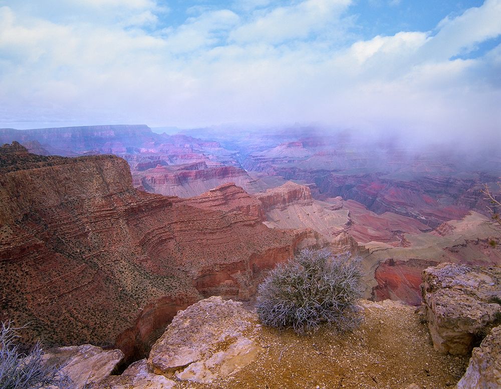 Moran Point-South Rim-Grand Canyon National Park-Arizona art print by Tim Fitzharris for $57.95 CAD