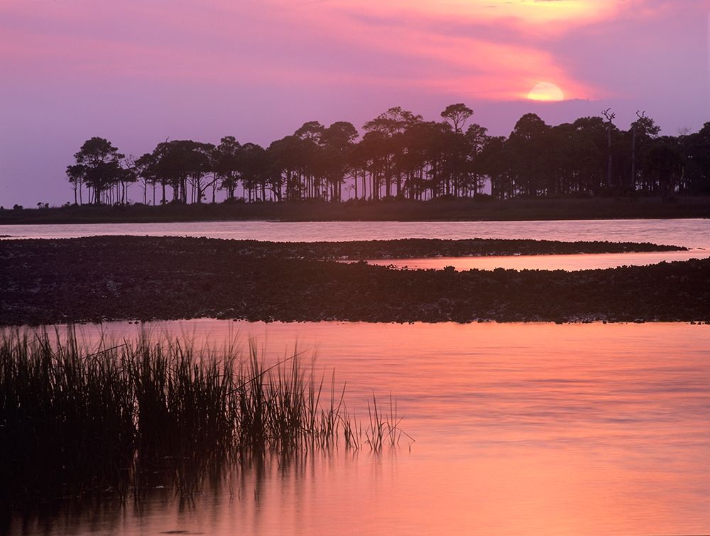 Saint George Island State Park-Saint George Island-Florida art print by Tim Fitzharris for $57.95 CAD