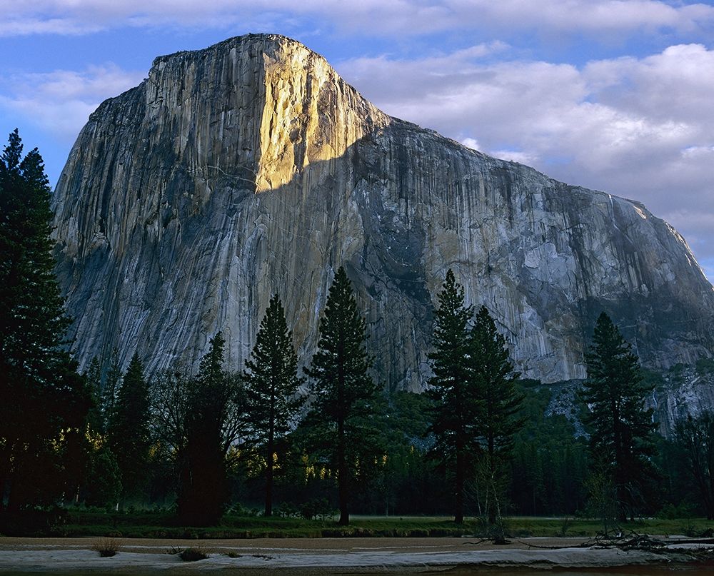El Capitan at Yosemite Valley-Yosemite National Park-California art print by Tim Fitzharris for $57.95 CAD