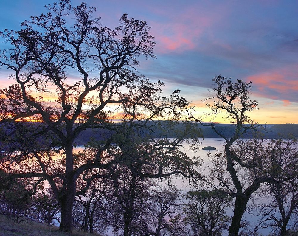 Melones Lake-Calaveras County-California art print by Tim Fitzharris for $57.95 CAD