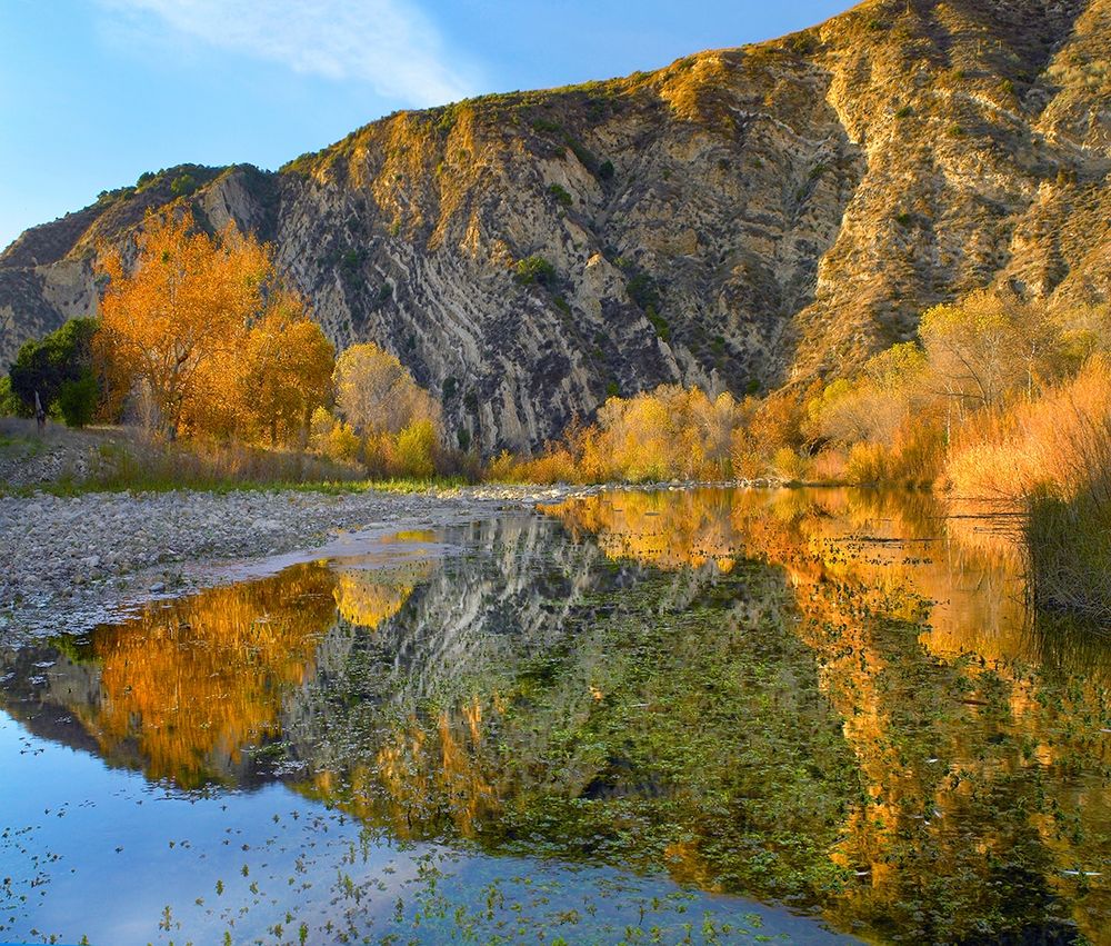 Santa Ynez Mountains Reflected in Santa Ynez River-California art print by Tim Fitzharris for $57.95 CAD