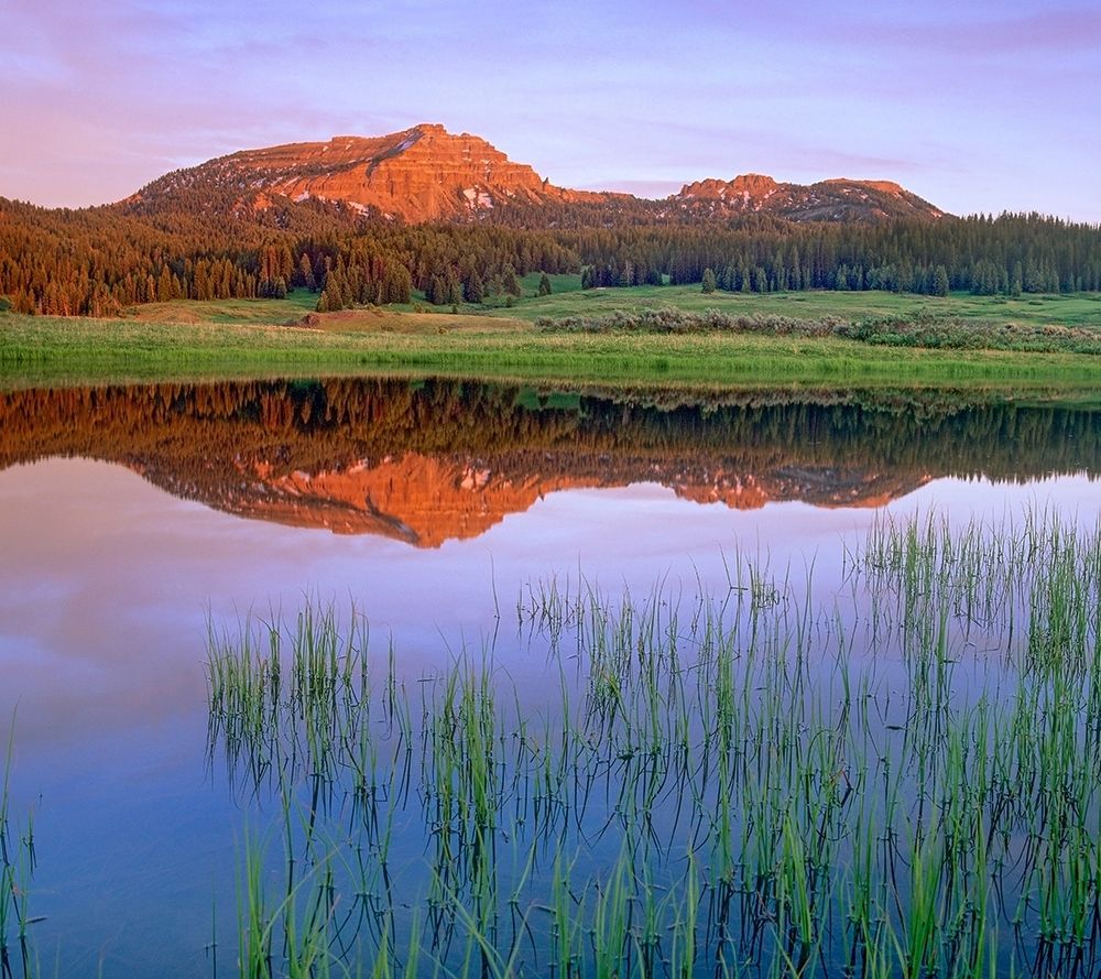 Tripod Peak at Togwotee Pass-Wyoming art print by Tim Fitzharris for $57.95 CAD