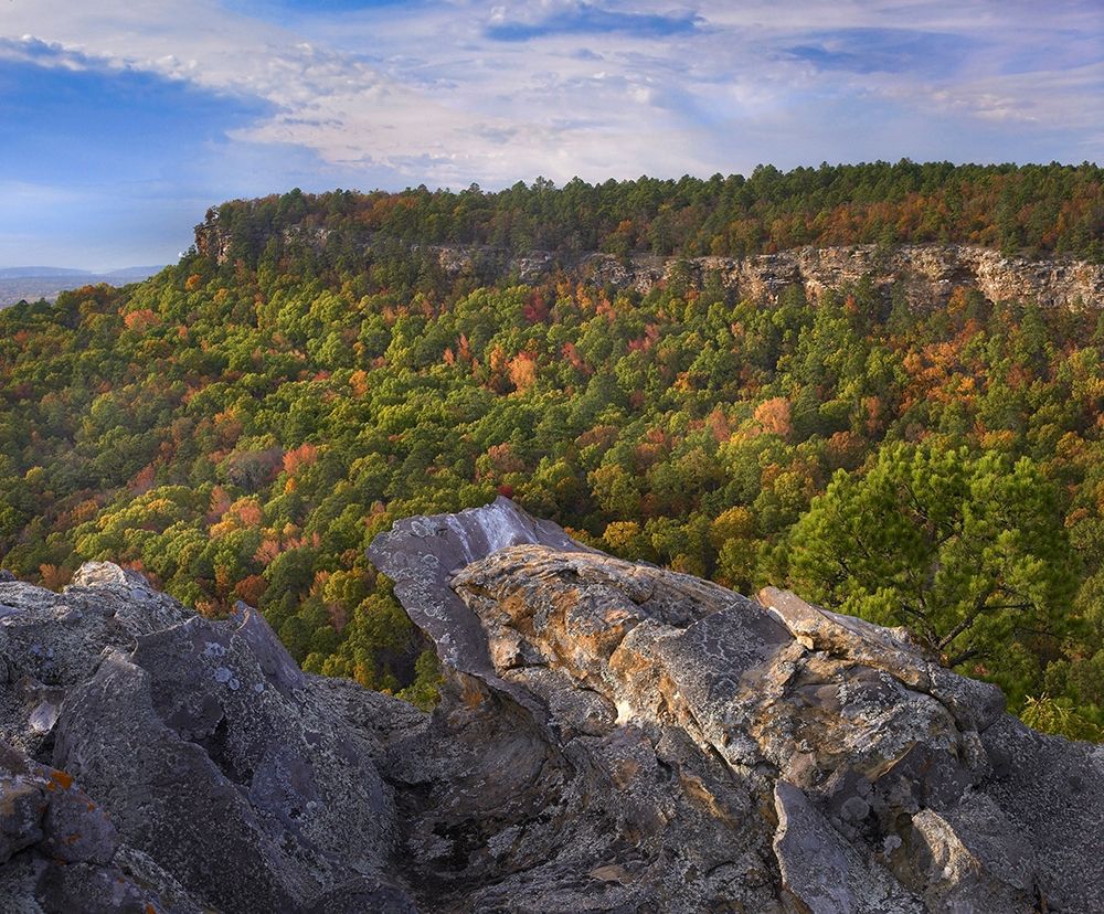 Cedar Canyon at Palisades Overlook-Petit Jean State Park-Arkansas art print by Tim Fitzharris for $57.95 CAD