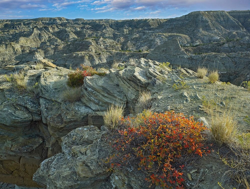 Makoshika State Park-Montana art print by Tim Fitzharris for $57.95 CAD