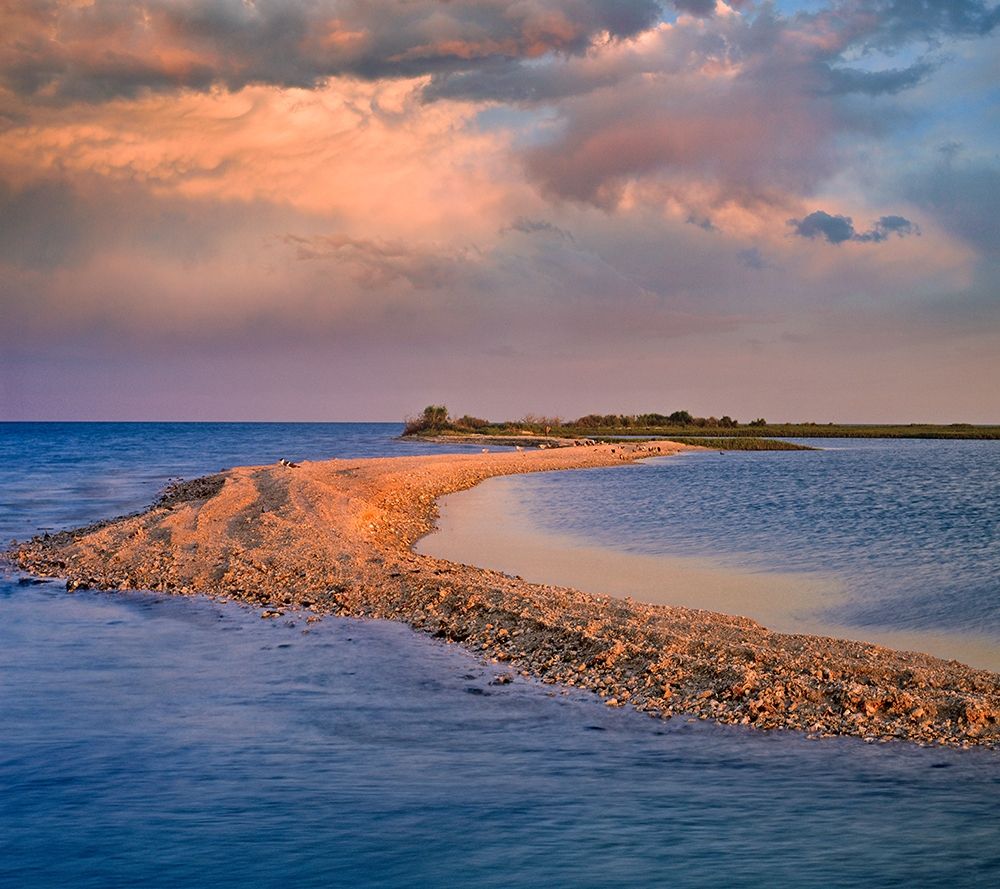 Oystercatcher Point near Rockport-Texas art print by Tim Fitzharris for $57.95 CAD