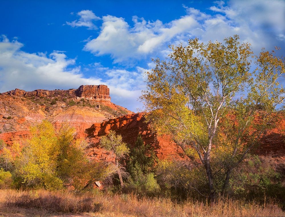 Sorensen Point-Palo Duro Canyon State Park-Texas art print by Tim Fitzharris for $57.95 CAD