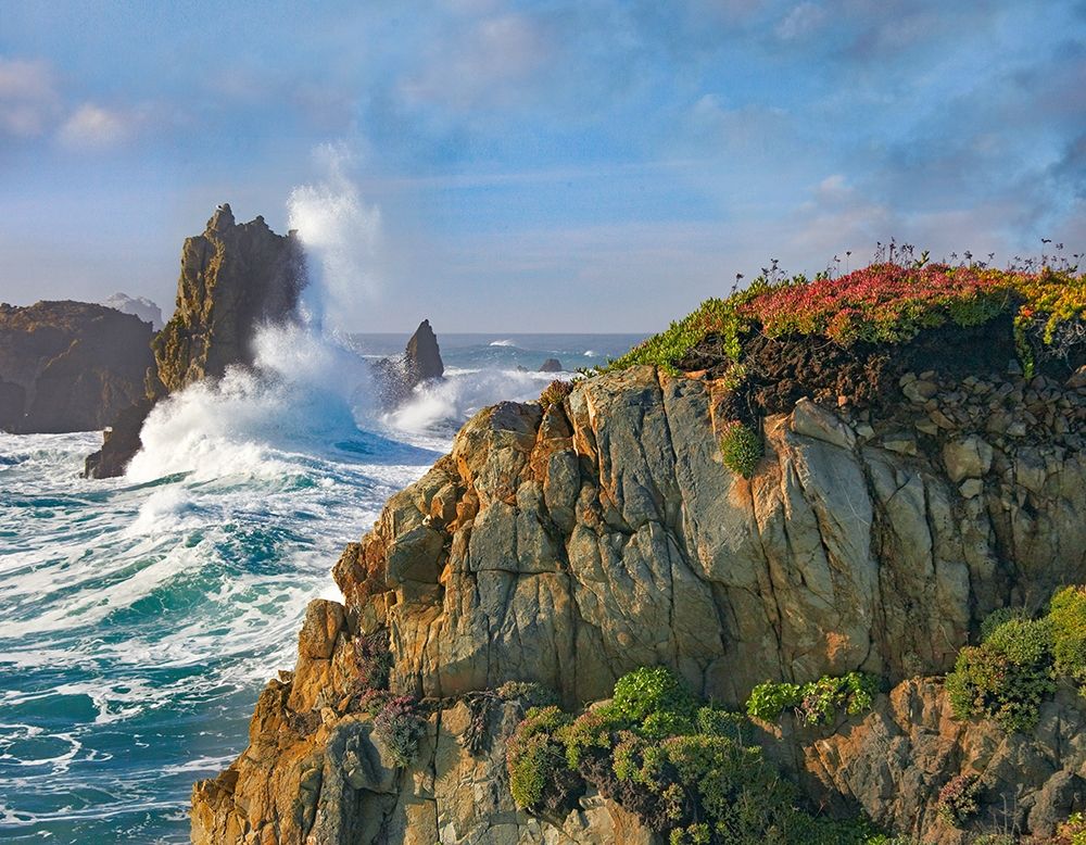 Pounding Waves at Piedras Blancas-California art print by Tim Fitzharris for $57.95 CAD