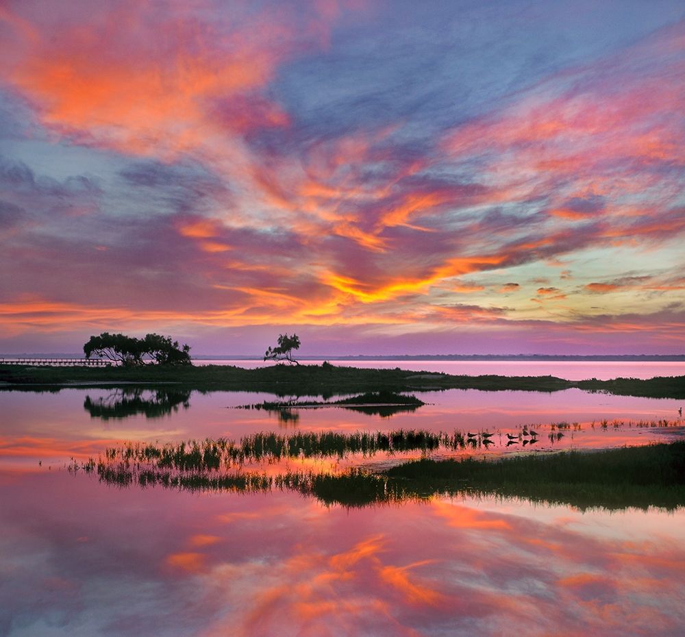 Padre Island National Seashore-Texas-USA art print by Tim Fitzharris for $57.95 CAD