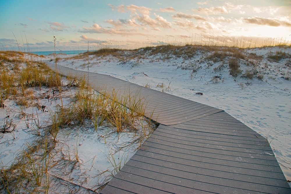 Boardwalk at Gulf Islands National Seashore-Florida art print by Tim Fitzharris for $57.95 CAD