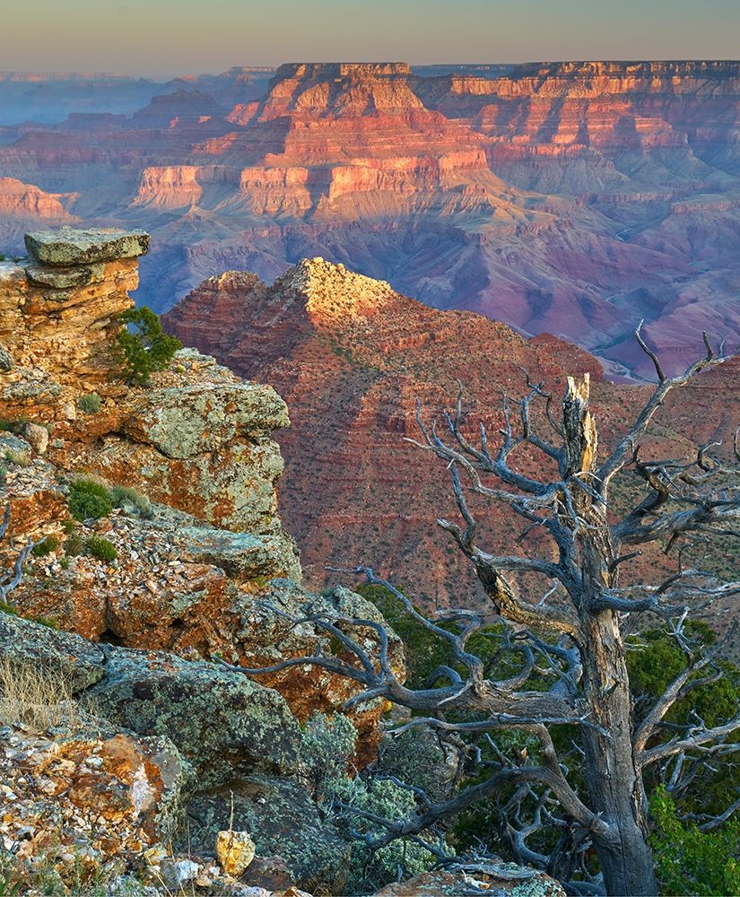 Desert View Overlook-Grand Canyon National Park-Arizona-USA art print by Tim Fitzharris for $57.95 CAD