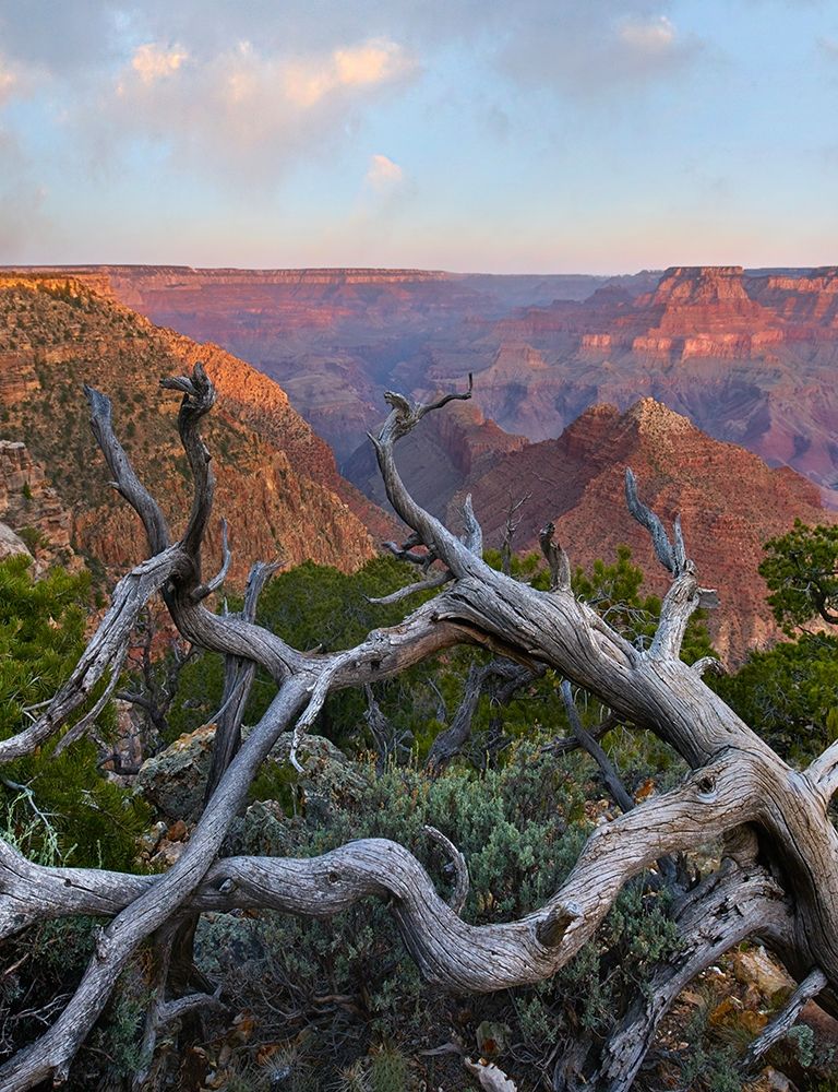 Desert View Overlook-Grand Canyon National Park-Arizona-USA art print by Tim Fitzharris for $57.95 CAD