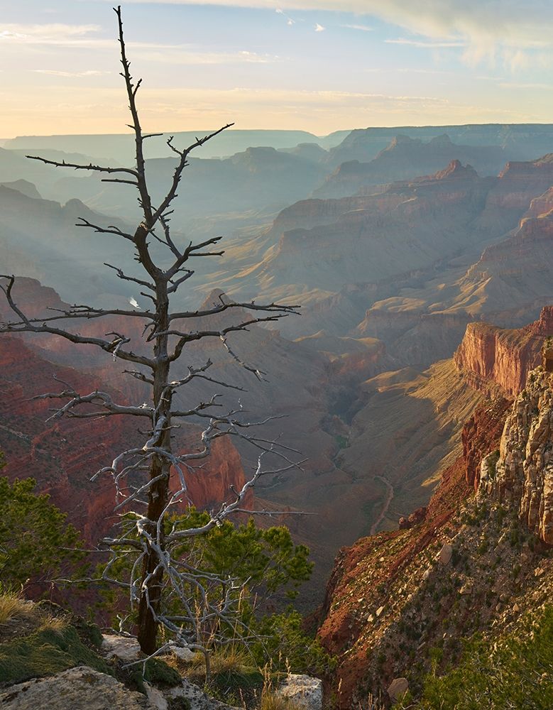 The Abyss from near Mohave point-Grand Canyon National Park-Arizona art print by Tim Fitzharris for $57.95 CAD