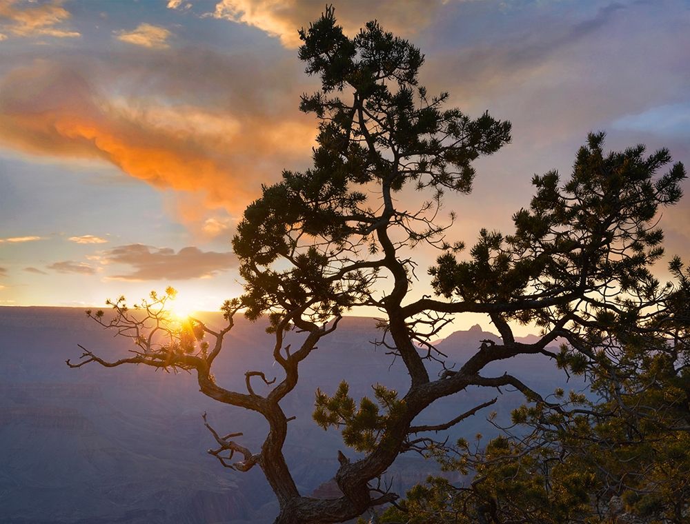 Yavapai Point-Grand Canyon National Park-Arizona-USA art print by Tim Fitzharris for $57.95 CAD
