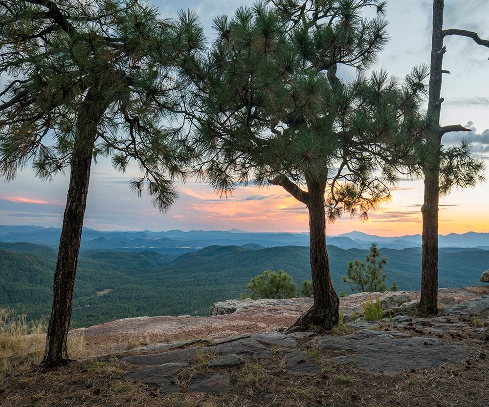 Mazatzal Wilderness-Coconino National Forest-Arizona art print by Tim Fitzharris for $57.95 CAD